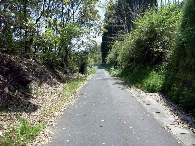 中津山国サイクリングロード