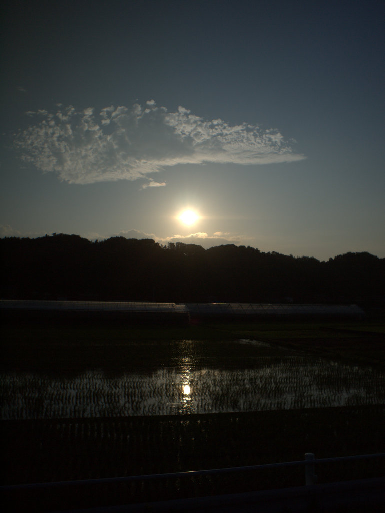 夕陽と水田に写るその写し身