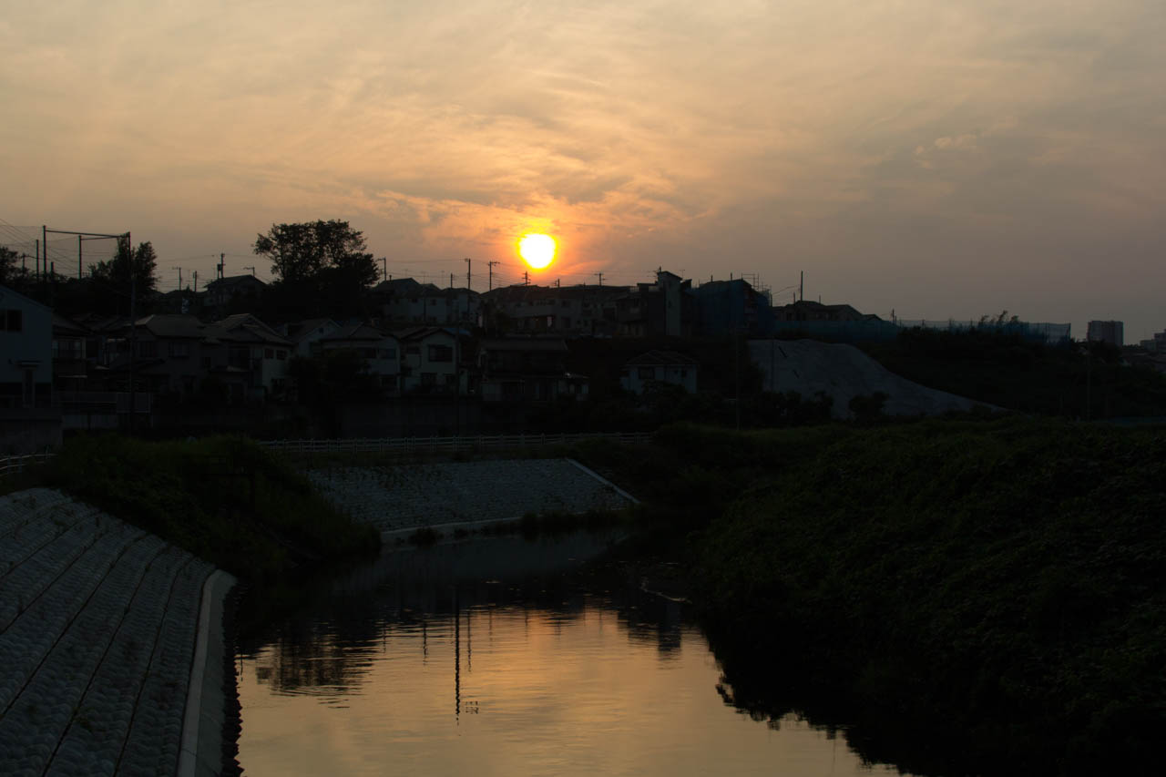 鷺舞橋からの夕陽
