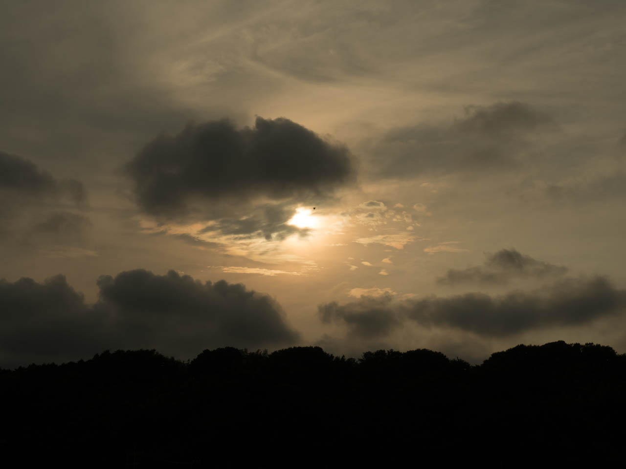 夕陽は朧な雲に包まれ