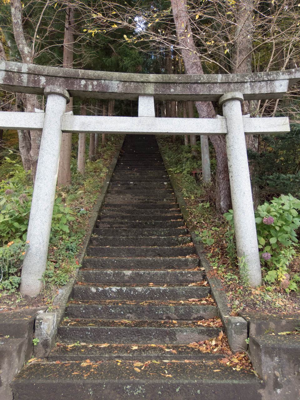 多賀神社に登る参道