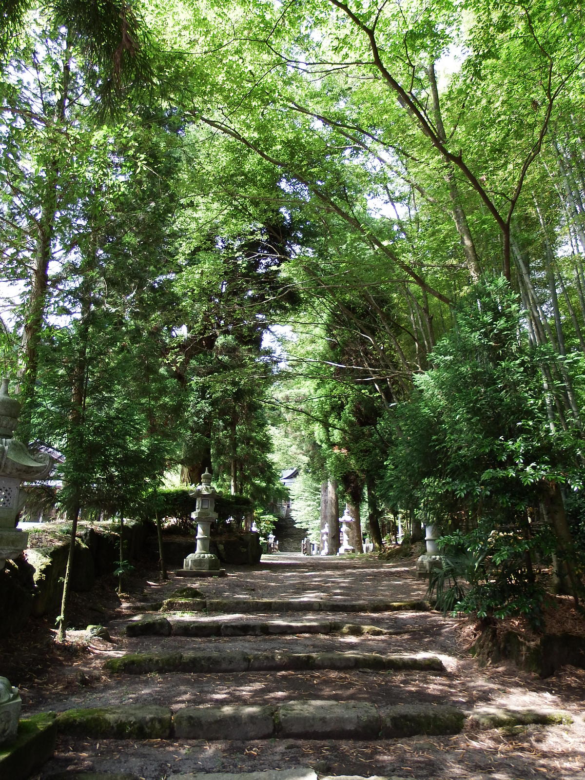 国造神社の参道